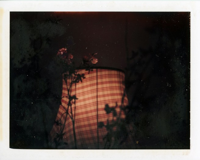 Polaroid057